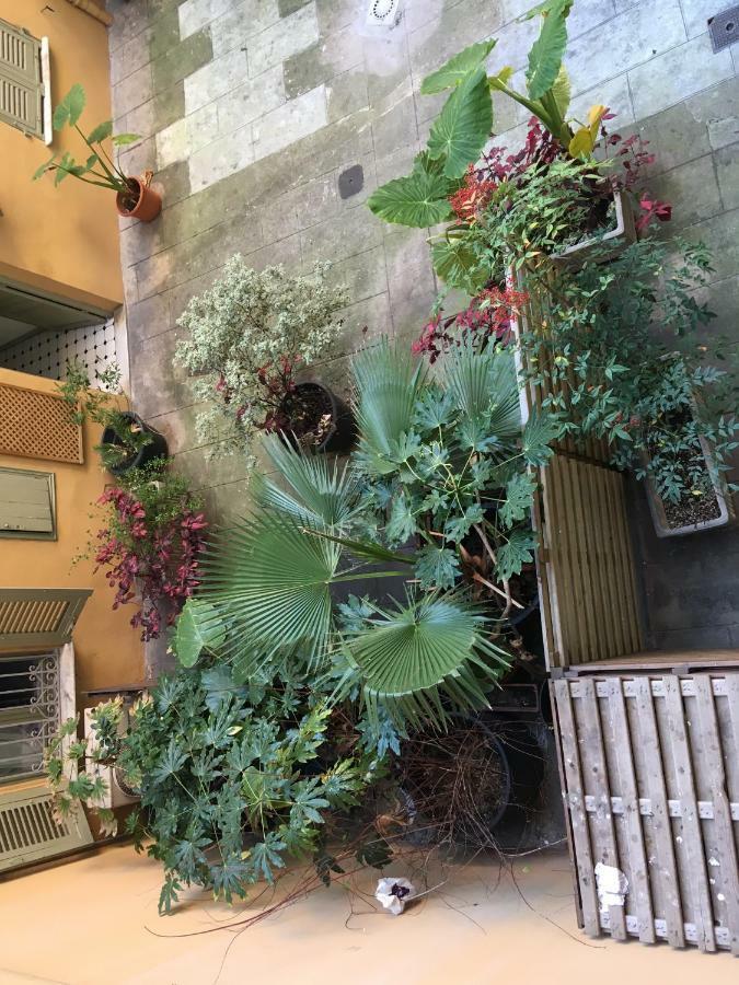 Heart Of Nice Harboor Cosy And Central Bagian luar foto